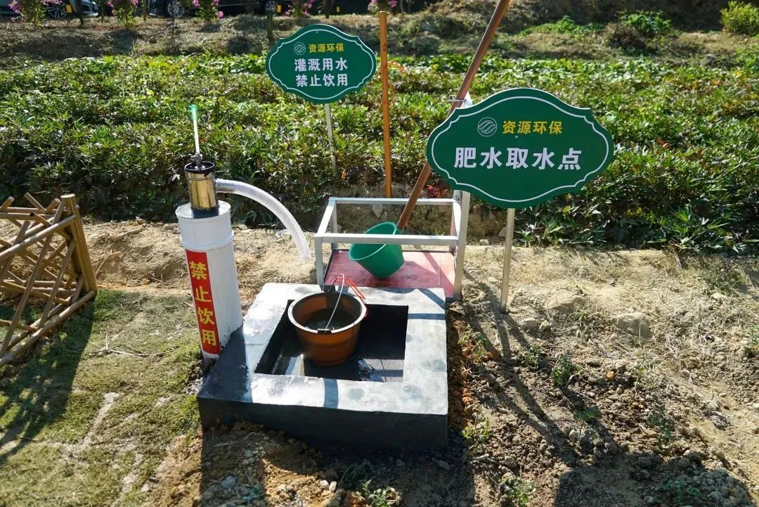 图片10.png