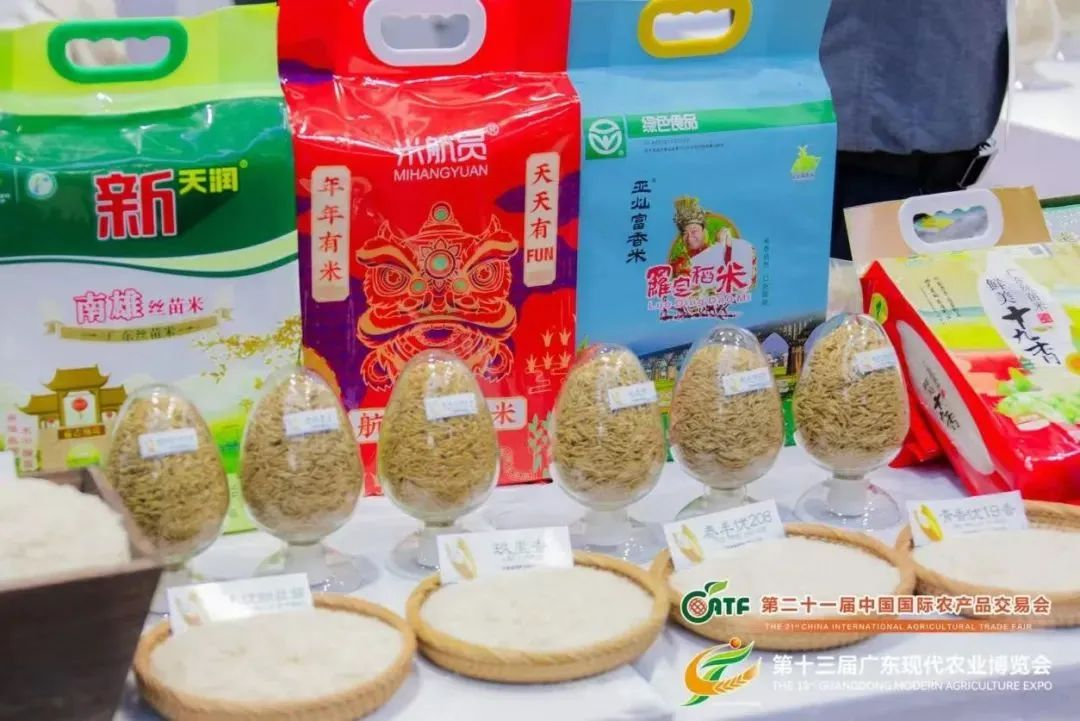 图片14.png