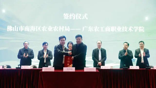 图片31.png