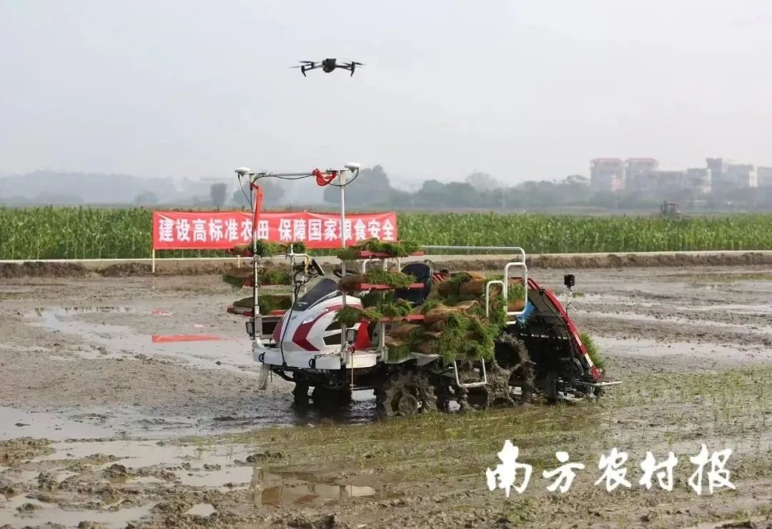 图片41.png