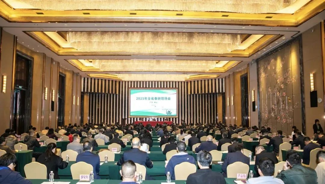 图片11.png