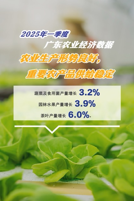 640 (1)中.jpeg