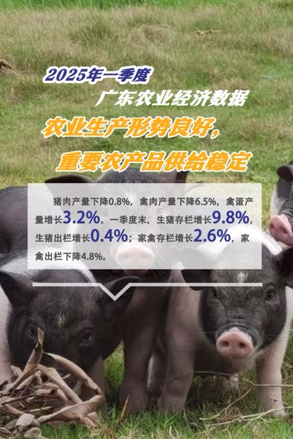 640 (2)中.jpeg