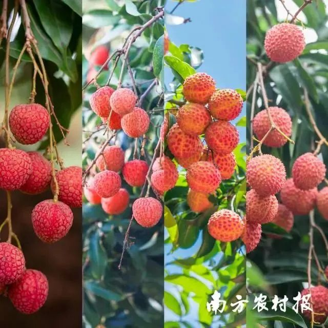 图片43.png