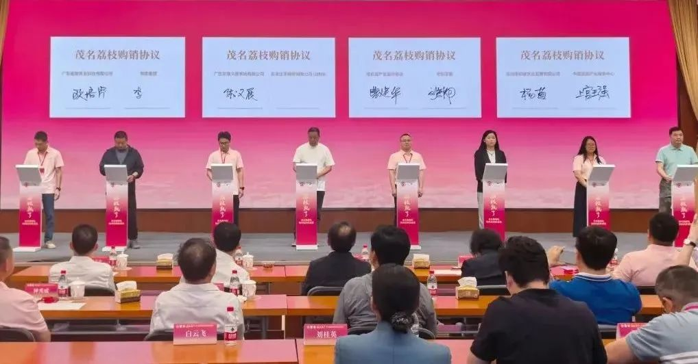 图片31.png