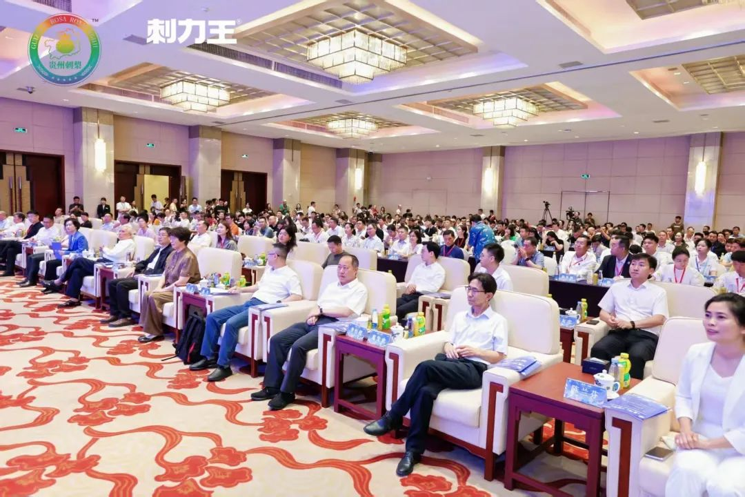 图片12.png