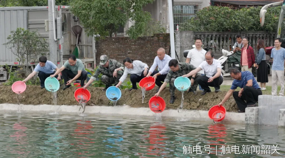 图片35.png
