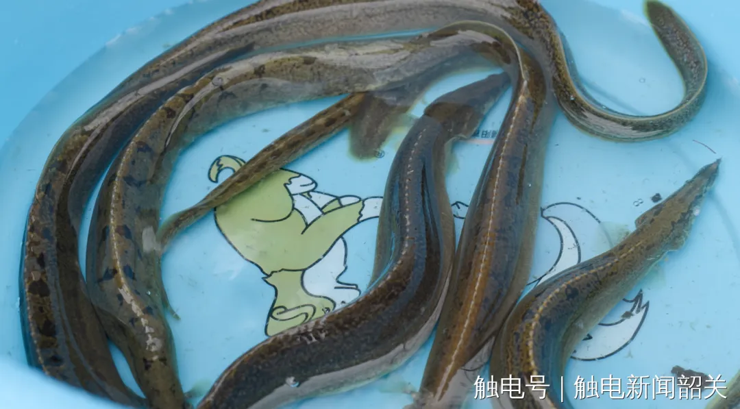 图片36.png
