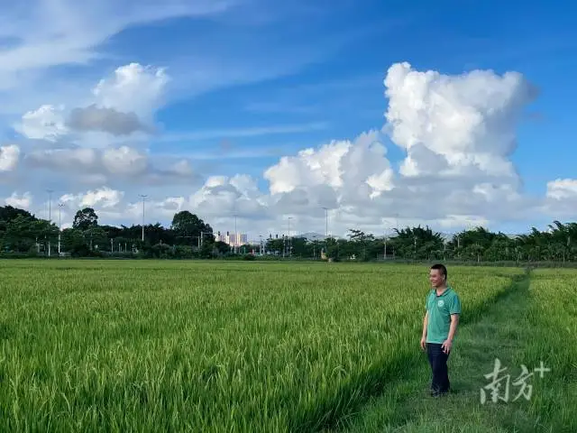 图片56.png